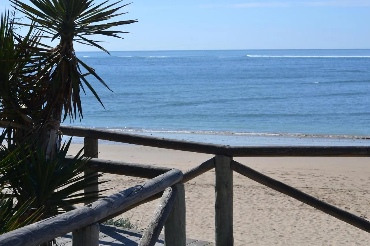 Ballena Paraiso Rota 0*,